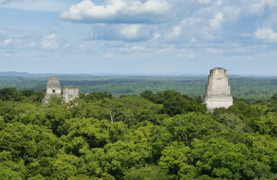 Majestic Tikal temples emerging above the dense tropical forest on a Central America tour.
