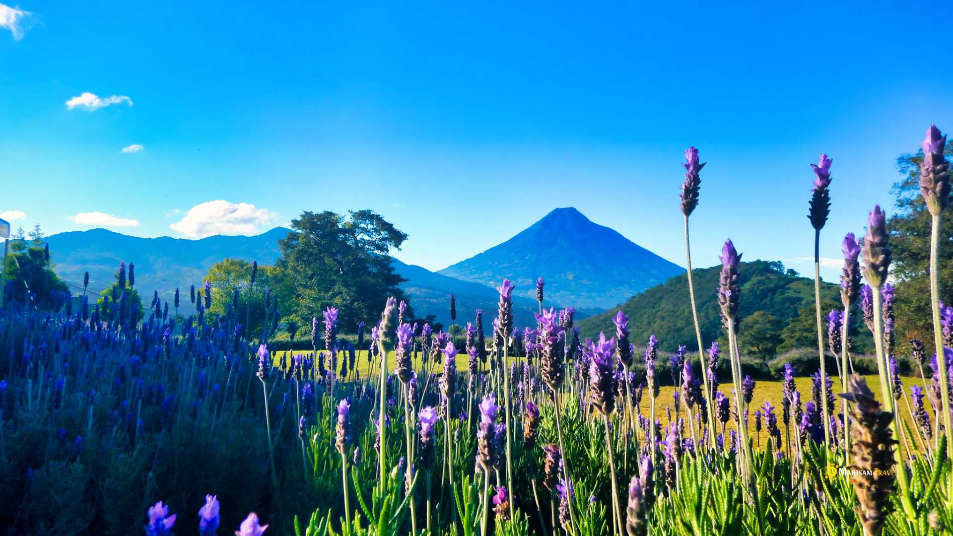 Stunning volcano landscape viewed from Antigua Guatemala's surroundings, captured during the Women in Nature Guatemala wellness tour by Martsam Travel.