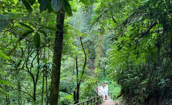 Lady immersed in a lush forest, finding tranquility during the Women in Nature Guatemala wellness tour by Martsam Travel.