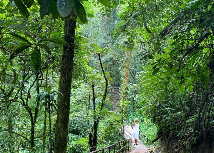Lady immersed in a lush forest, finding tranquility during the Women in Nature Guatemala wellness tour by Martsam Travel.