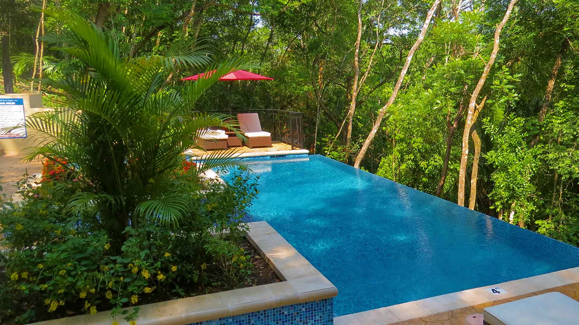 Tranquil swimming pool nestled amidst the dense, verdant Belizean forest, providing a serene oasis of relaxation and refreshment in a natural setting.