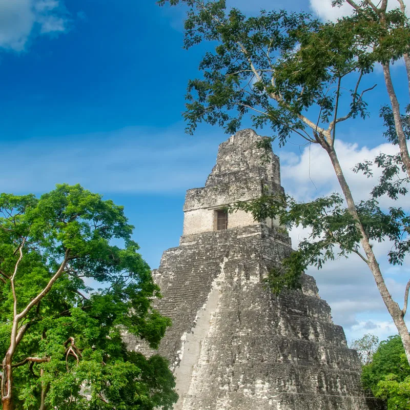Tikal-unesco-site