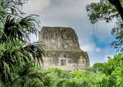 The crest of temple V of Tikal, covered by the lush tropical forest, is one of the highlights of our archaeology tour in Guatemala