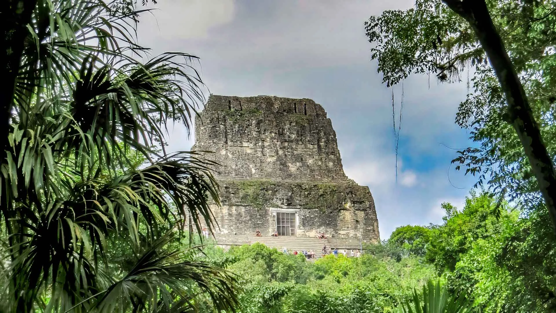 The crest of temple V of Tikal, covered by the lush tropical forest, is one of the highlights of our archaeology tour in Guatemala