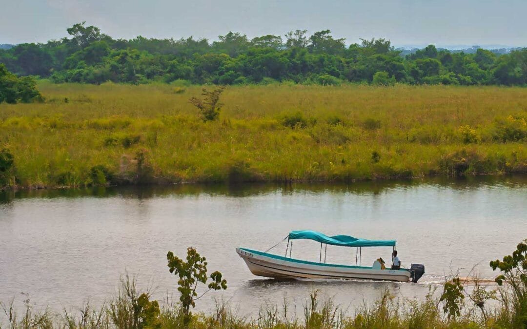 Eco-Adventures: Go Green, Explore Boldly