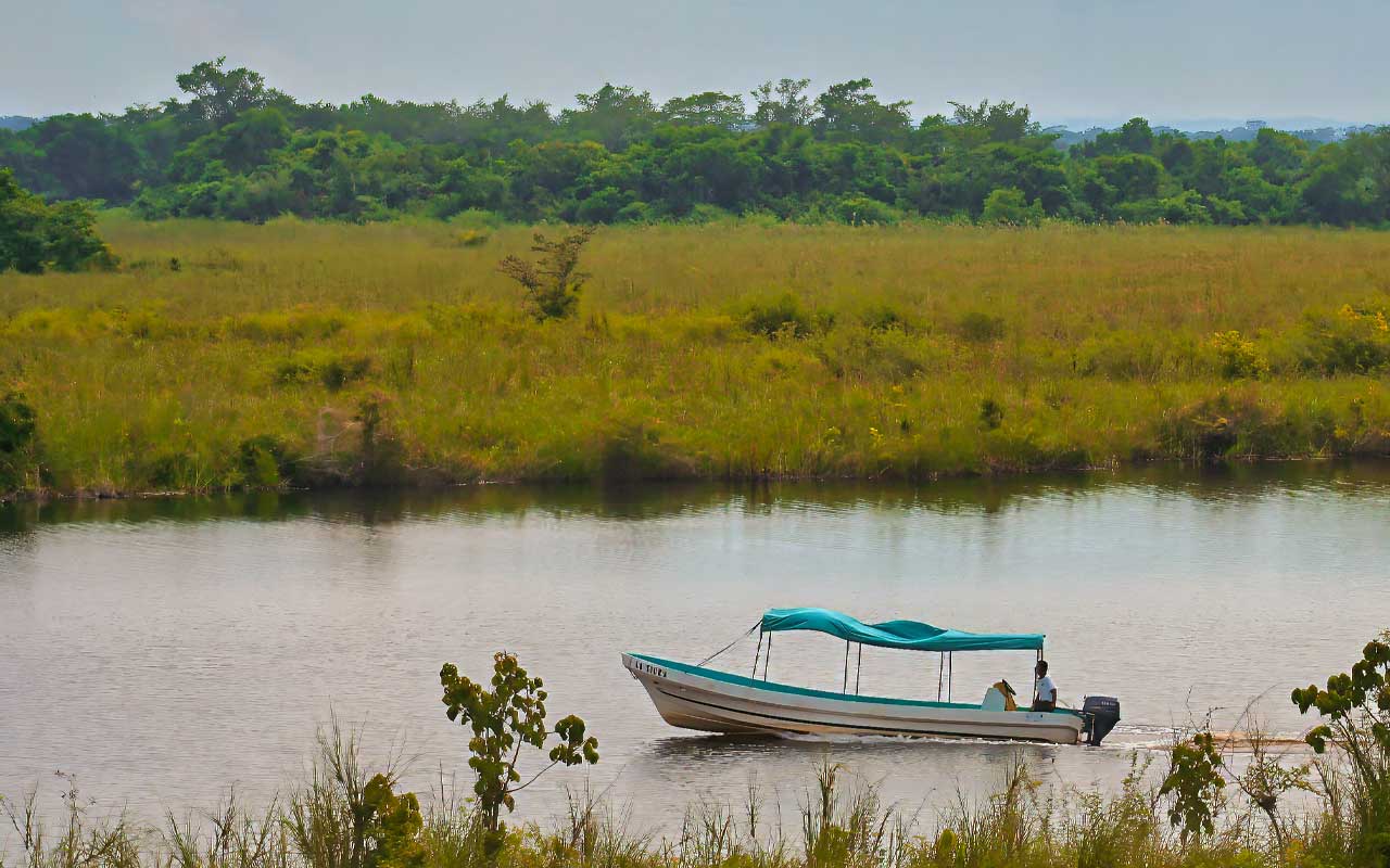 Spectacular tropical forest scenery along the San Pedro River in Guatemala.