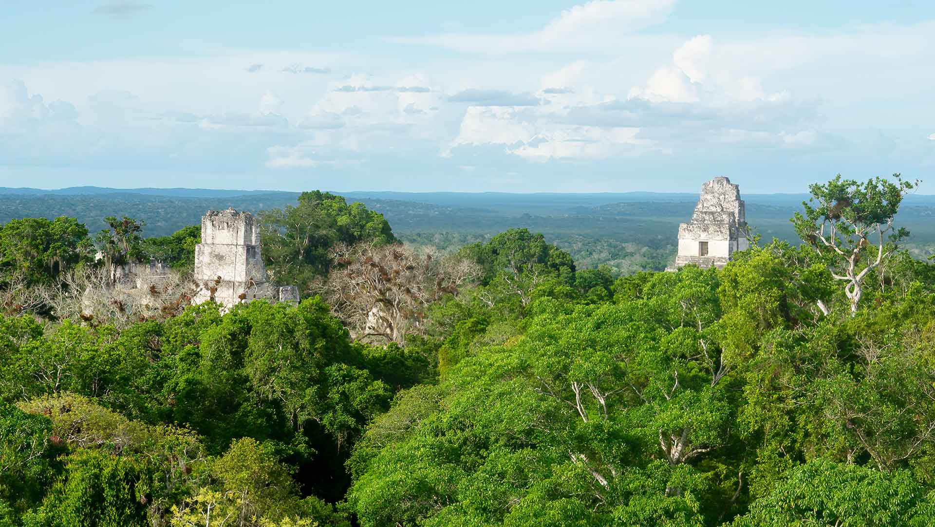 Temples I and II in Tikal rising above the tropical rainforest, captured during one of our all-inclusive tours to Tikal.