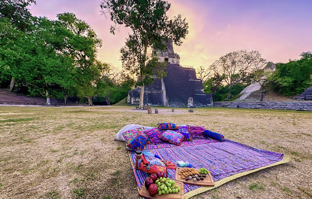 Selected Experiences