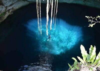 Cenote-yucatan | martsam travel Traveler swimming in a clear cenote during a Private Yucatan Tour.