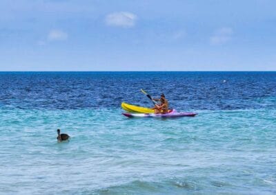 Travelers kayaking in Caribbean water near Placencia, Belize, with a pelican nearby