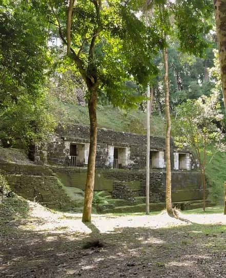 Maya-archaeological-site-belize | martsam travel Maya stone structures and stepped platforms shaded by tropical forest in Belize.