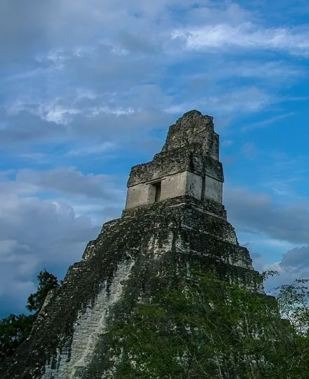Maya temple rising above rainforest vegetation at Tikal, featured in Guatemala tour packages.