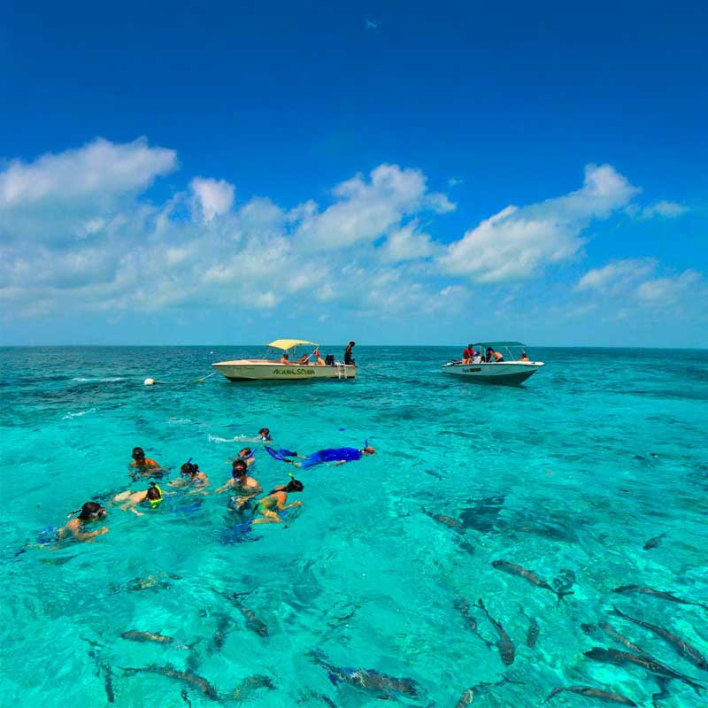 Ambergris and caye caulker reef and island activity | martsam travel Belize Vacation Packages with snorkeling and reef excursions near Ambergris Caye and Caye Caulker.