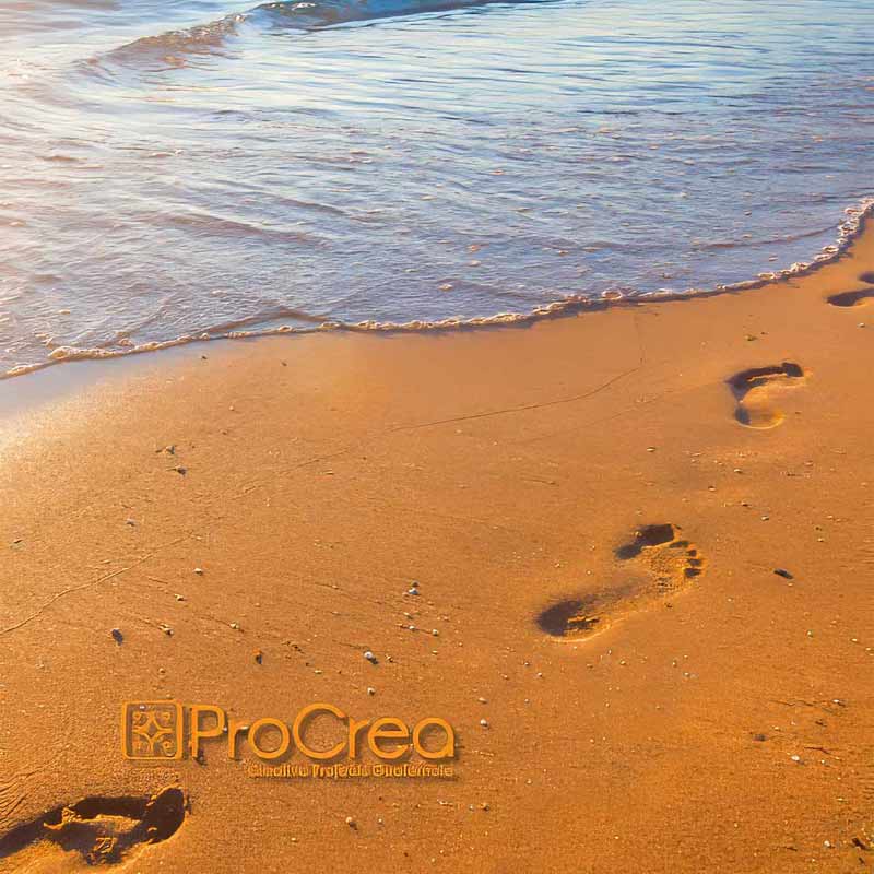 Footprints beside the sea with the ProCrea Foundation logo, featured on Martsam’s custom Central America tours homepage.